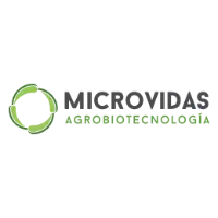 microvidas Salud y bienestar